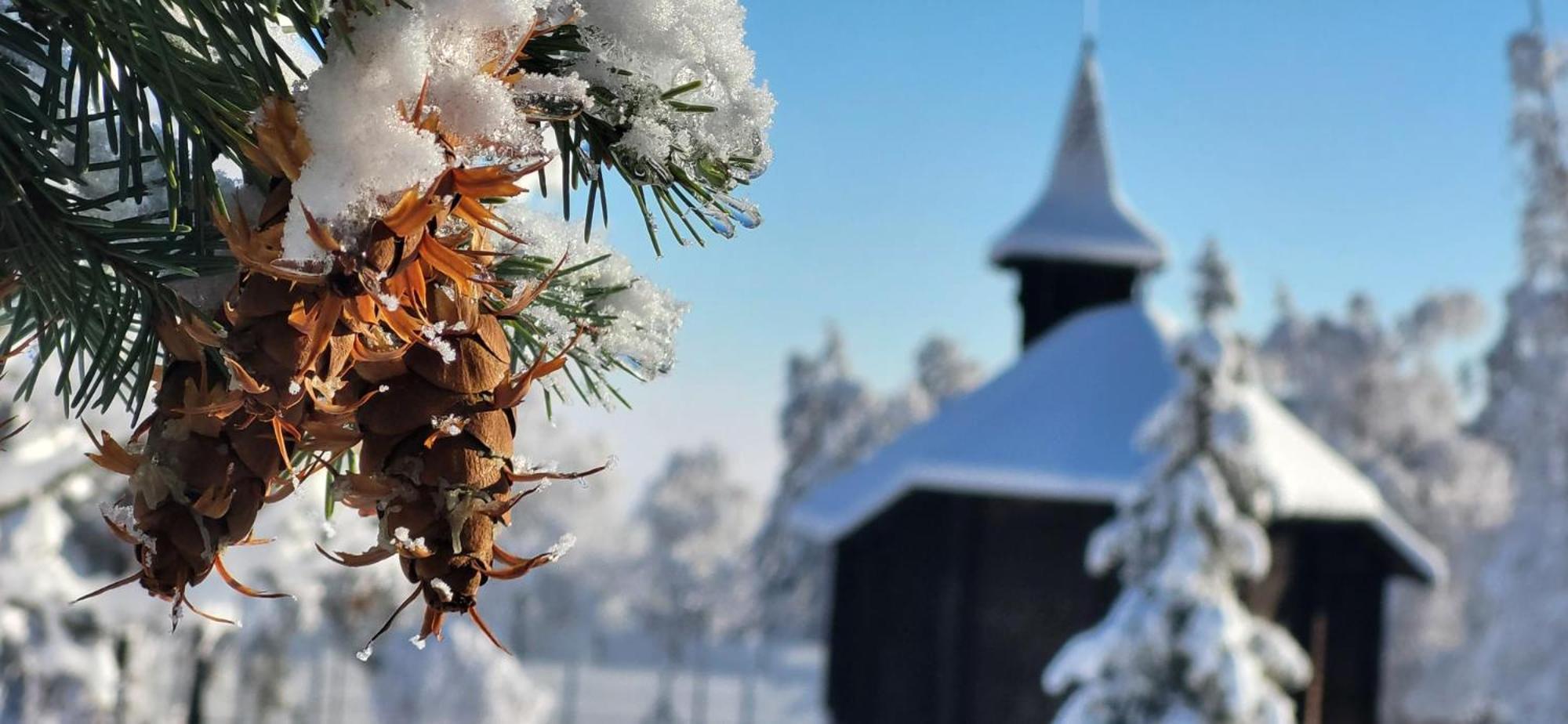 Vila Kollar Vysoké Tatry Kültér fotó