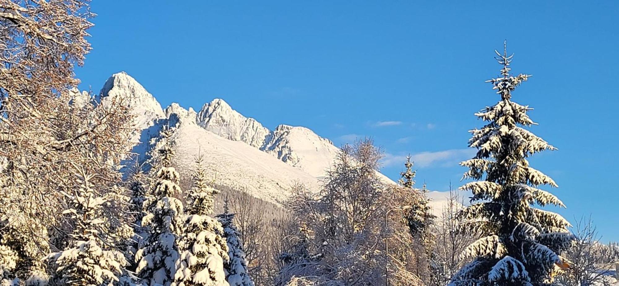 Vila Kollar Vysoké Tatry Kültér fotó