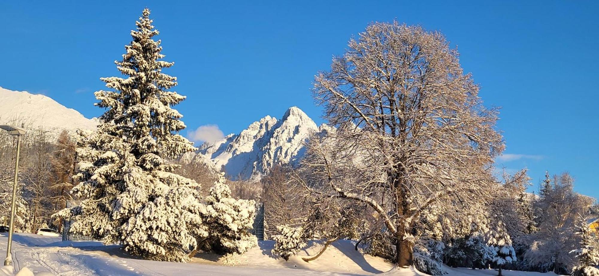 Vila Kollar Vysoké Tatry Kültér fotó